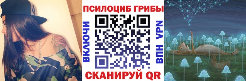 Псилоцибиновые грибы Psilocybine cubensis  Купить где  Бронницы 